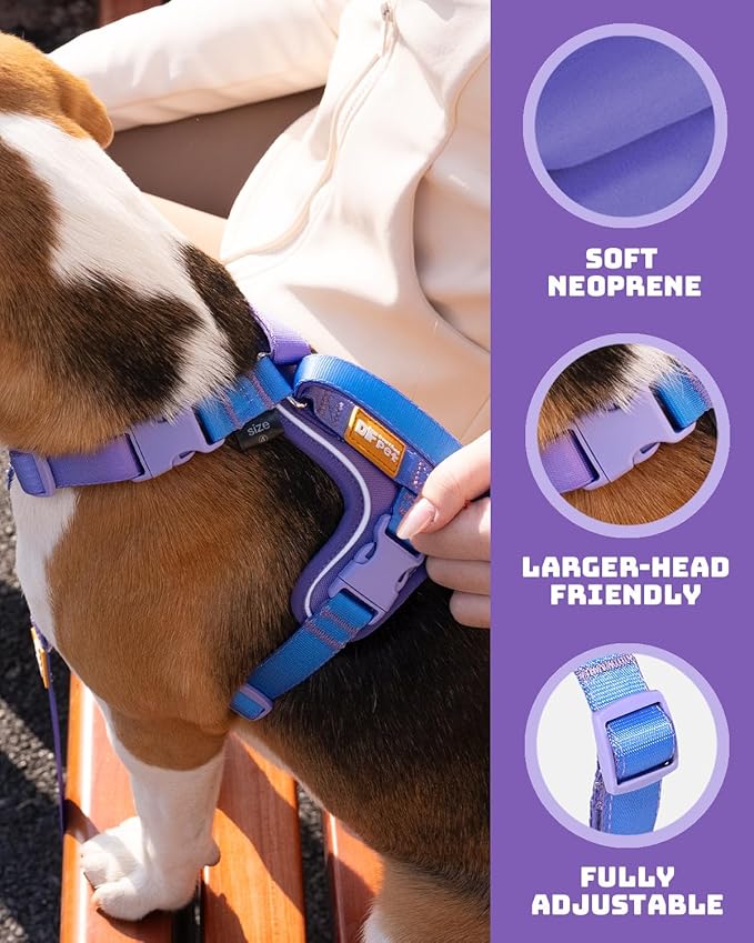 DF Freedom No Pull Martingale Dog Harness, Gentle Control for No Choking, Front Clip Harness with Reflective, Adjustable & Padded Handle for Easy Walking & Training, Rainbow, 1", Chest 22.4"-30.4"