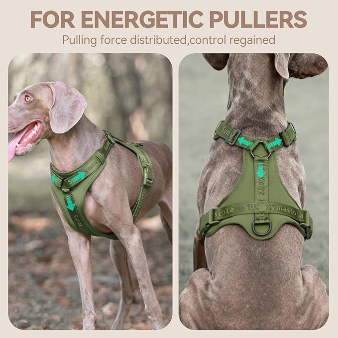 No Pull Dog Harness with Lycra, Three-Point Force Dispersion & 3D Padding, Adjustable Breathable Mesh for Small Medium Large Dogs(Misty Green,L)
