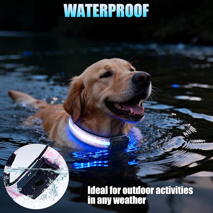 LED Dog Collar - Brightest Light Up Dog Collars - 1,600 Feet of High Visibility - Magnetic Charging - Dog Lights for Night Walking, Heart Large