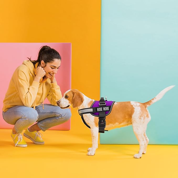 Dogline Vest Harness for Dogs and 2 Removable Nose Work Patches, X-Small/15 to 19", Purple