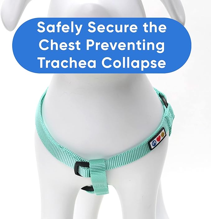 Pawtitas Solid Step-in Dog Harness – Adjustable No-Pull Vest for Puppies to Seniors, Safe & Comfortable XS Turquoise