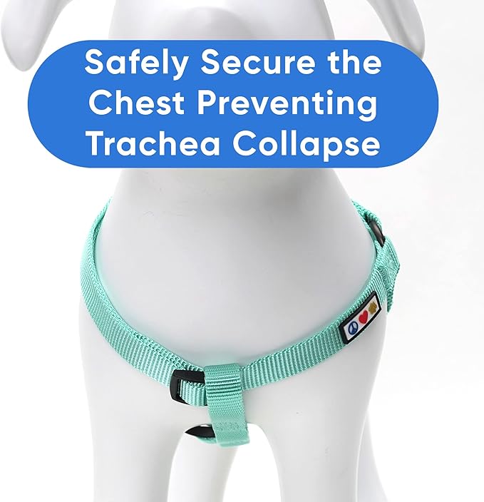 Pawtitas Solid Step-in Dog Harness Adjustable No-Pull Vest for Puppies to Seniors, Safe & Comfortable M Turquoise