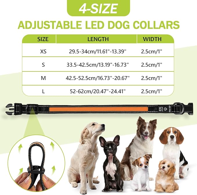 Lighted Dog Collars Rechargeable, Glow in Dark Dog Collar Waterproof, Flashing Led Dog Collars, Light Up Dog Collar for Night Walking (Orange, Pack of 1, S)