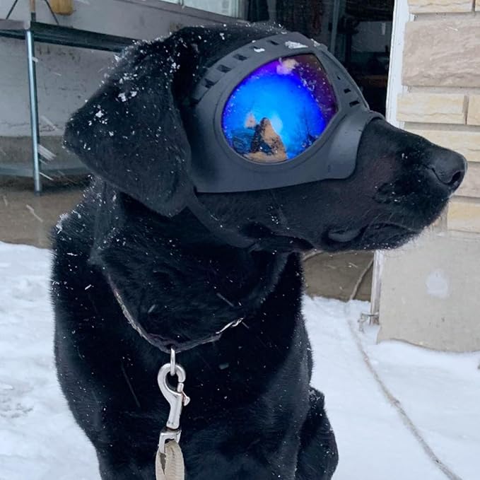 Namsan Clear Dog Goggles for Large Dogs, Wide Snout & Soft Frame, Tactical Driving Sunglasses for Dogs Medium to Large Breed, Anti-UV Dog Eye Protection, Windproof Dustproof, Adjustable, Clear Blue