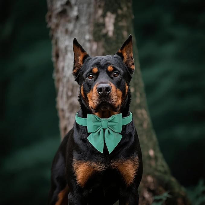 Maca Bates Jade Green Dog Collar with Cute Solid Sailor Bow Tie for Large Girl Boy Dogs,Adjustbale Durable Breakaway Soft Collars with Bowtie for Female Male Puppy,Pet with Metal Buckle