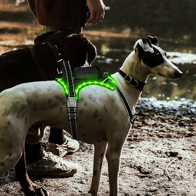 Luwint Light Up Dog Harness, LED Illuminated Harness for Medium Large Dogs Glow in The Dark for Night Walking (USB Rechargeable, Adjustable, Lightweight) (Green)