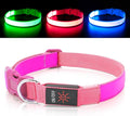 LED Dog Collar Light Up Dog Collars Red Light USB Rechargeable, Adjustable Size Heavy Duty TPU Nylon Webbing Glow Safety Basic Dog Collars for Large Medium Dogs (L, Candy Pink)
