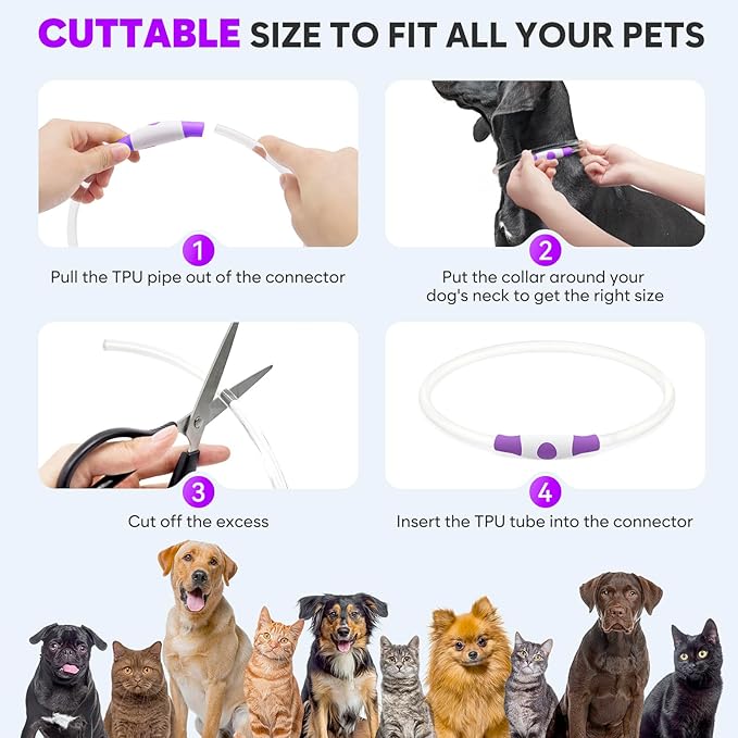 Light Up Dog Collars - Waterproof LED Dog Collar, Glow in The Dark Puppy Collar, TPU Cuttable Lighted Dog Collar for Small Medium Large Dogs (Purple)