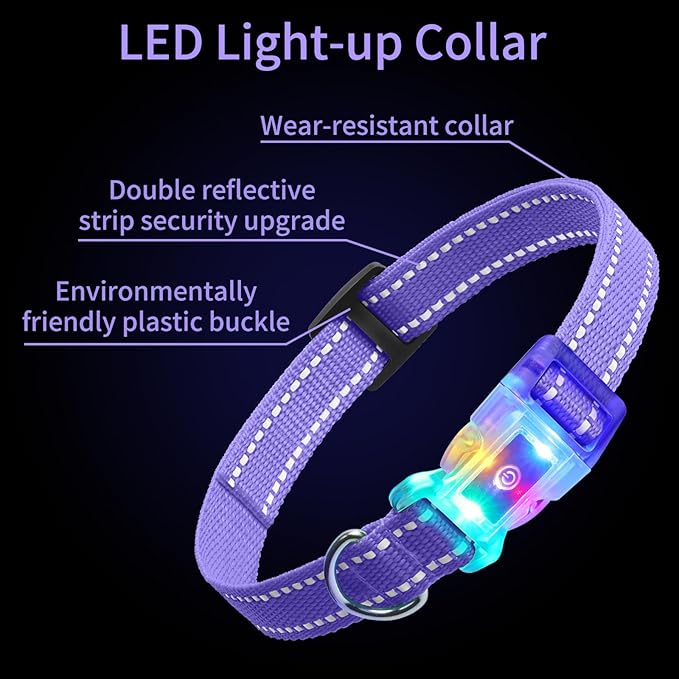 Rechargeable LED Dog Collar Suit for Small Large Dog, Dazzling Glow-in-The-Dark Light Collar, Prevent Traffic Accident Anti-Stampede Pet Supplies Glowing Collar (Purple)