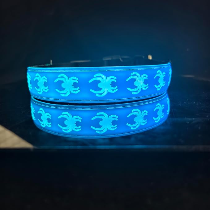 USB-C led Light up Dog Collar, 3D Design Comfortable and Soft Material,Multicolored Lighting，Night Dog Collar (SP-Blue, M(15.7-19.7"))