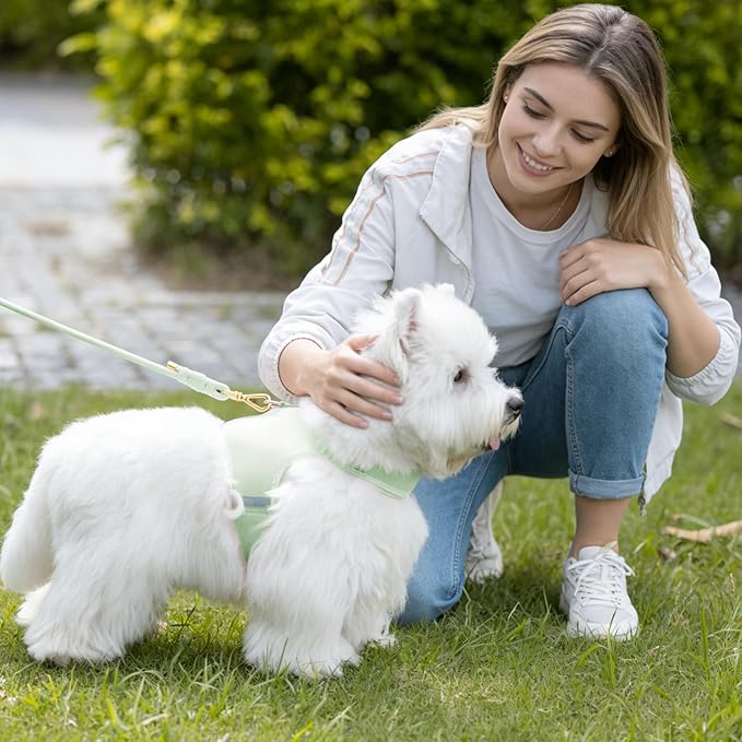 Durable Handwoven Dog Leash for Small & Medium Dogs, 5/16 inch Rope Lead with Anti-Tangle Swivel Clip, Soft & Lightweight, 5FT Long – Ideal for Daily Walking & Training (Light Green)