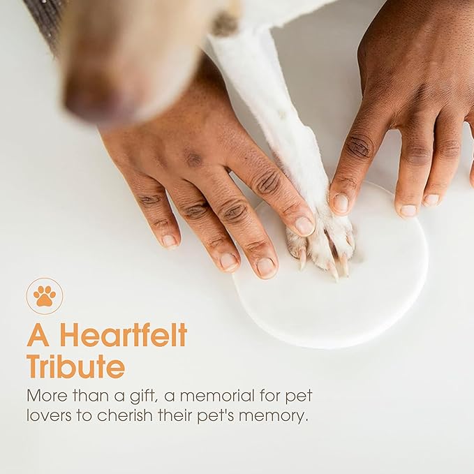 Pearhead Pet Pawprints Wall Picture Frame and Clay Impression Kit - DIY Clay Paw Print, Memorial Keepsake Frame for Cat and Dog, Ideal Home Decor Gift for Pet Owners, 4x6 Photo, Distressed White