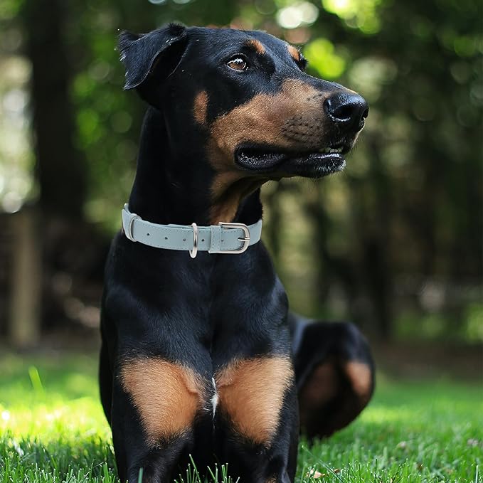 Alipis Adjustable Pu Dog Collar Light Blue XL, Puppy Neck Ring Pet Collar for Outdoor Use, Soft Adjustable Neck Circle for Dogs and Cats