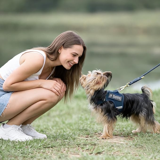 Durable Handwoven Dog Leash for Small & Medium Dogs, 5/16 inch Rope Lead with Anti-Tangle Swivel Clip, Soft & Lightweight, 5FT Long – Ideal for Daily Walking & Training (Prussian Blue)