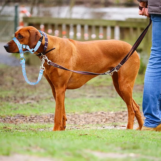 Dog Head Collar, Printed No-Pull Headcollar, Adjustable Dog Head Halter Gentle Lead with Safety Link, 3 Colors Muzzle Leash for Small Medium Large X-Large Dogs Easy Walks (Large, Flamingo)