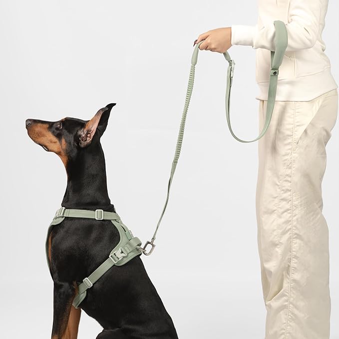 Hands Free Dog Leash Adjustable Versatile Crossbody Waist Dog Leash Reflective Comfortable Padded Handles Shock Absorbing Walking Lead for Small Medium Large Dogs (Light-Olive, M)