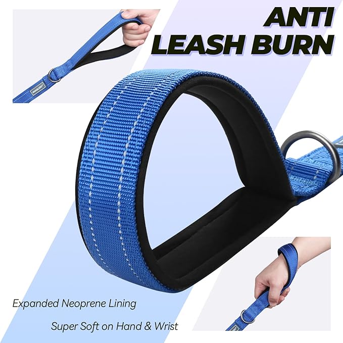VIVAGLORY Twingrip Dog Leash, Double Handle Dog Leash for Training & Walking with Traffic Handle & 2 Loop, Traffic Control Reflective Heavy Duty for Puppy Pet, 6ft x 1in, Blue