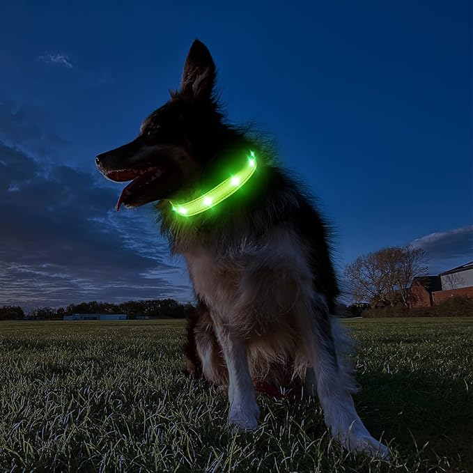 MASBRILL Light Up Dog Collars-RGB Led Collar for Dogs Rechargeable Lighted Dog Collar Water-Resistant Colorful Glow in The Dark Dog Collars for Night Walking