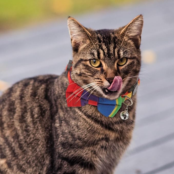 Beaupretty Dogs Bow Tie Rainbow Collar, Cute Cat Collar Adjustable Dog Cat Bowknot Collars with Bell for Cat Pet Supplies