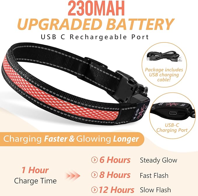 Led Dog Collar Rechargeable, Lighted Dog Collars for Night, Dog Collar Glow in The Dark Waterproof, Adjustable Light Up Collar for Small Dogs (Orange, Pack of 1, S)