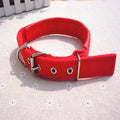 Color Foam Pet Collar Buckle Sponge Adjustable Foam Dog Neck Strap Nylon Pet Basic Collar