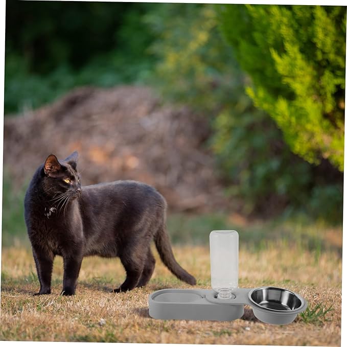 Timed Cat Feeder Automatic Water Dispenser Double Stainless Steel Bowl Pet Supply for Busy Pet Parents