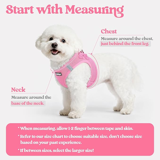 rabbitgoo Dog Harness Small Sized and Leash Set, Step in Soft Light Puppy Vest, Breathable Mesh Pet Harness, Reflective for Safe Easy Walking, Light Pink XXS