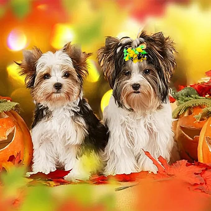 PET SHOW 20pcs/10pairs Curly Dog Hair Bows with Rubber Bands for Small Medium Dogs Spiral Puppy Swirl Topknot Cat Festival Hair Accessories Pet Favor Gift (Halloween Styles)
