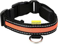 walkingMate Soft Nylon LED Collar, 25 mm x 34-41 cm, Orange