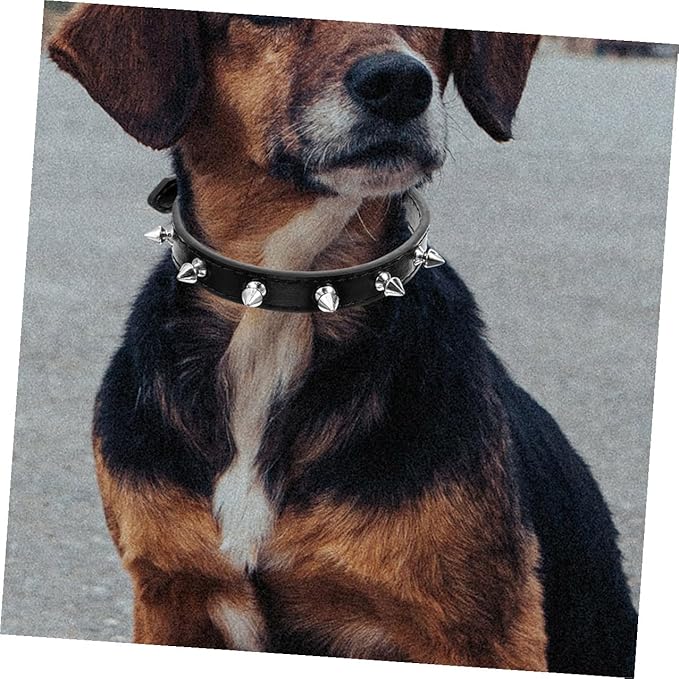 Rivet Dog Collar Adjustable Medium Size 2.0cm Wide Black Sturdy Leather Pet Collar for Walking and Training