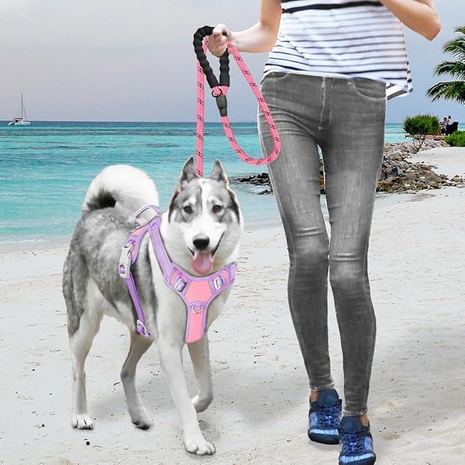 BARKBAY No Pull Dog Harness Large Reflective Dog Harness with Front Clip and Easy Control Handle for Walking Training Running with ID tag Pocket(Baby Pink & Violet Purple,XL)