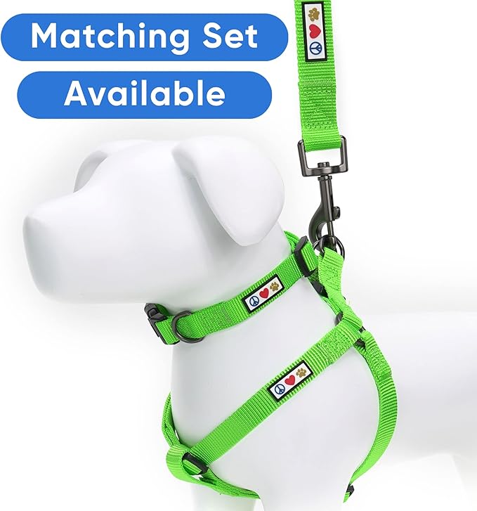 Pawtitas Personalized Dog & Puppy Harness Small Green Custom ID Tag Adjustable No Pull Vest