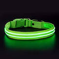 Geekman LED Dog Collar, LED Glow Collar with USB Rechargeable, Comfortable Adjustable Soft Mesh Safety Dog Collar for Dogs(Medium, Green)