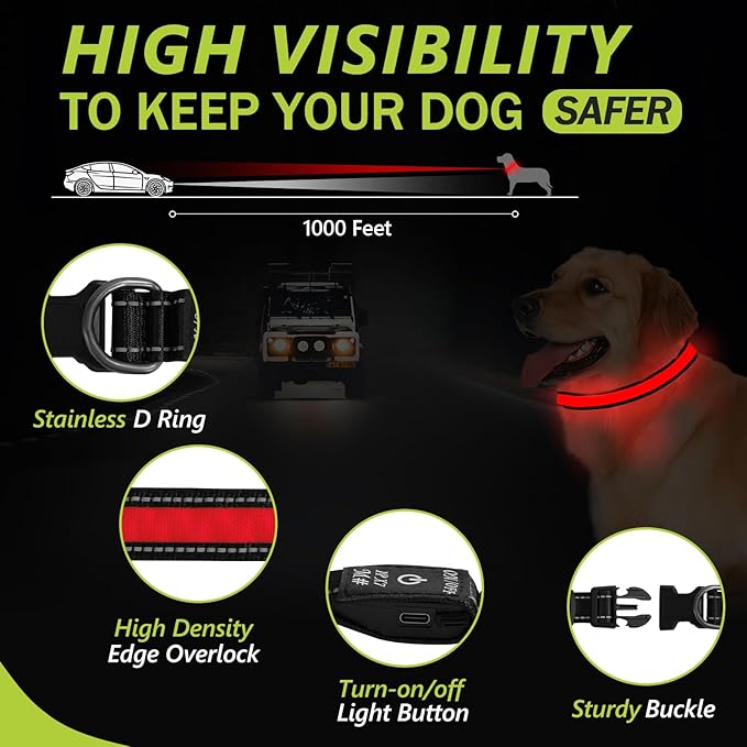 Lighted Dog Collar for Night Walking, Flashing Led Dog Collar, USB Rechargeable Glow Collars for Dogs, Adjustable Light Up Dog Collars (Red, Pack of 1, XS)