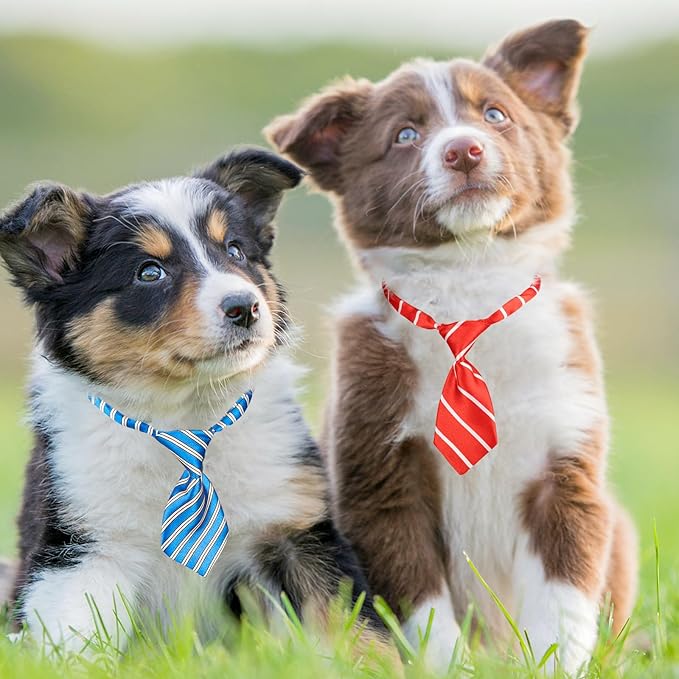 Segarty Dog Ties, 80 Pieces Dog Ties for Small Pets Adjustable Neck Ties Pet Collar Small Cat Neckties for Medium Large Puppy Grooming Accessories Birthday Holiday Wedding Party