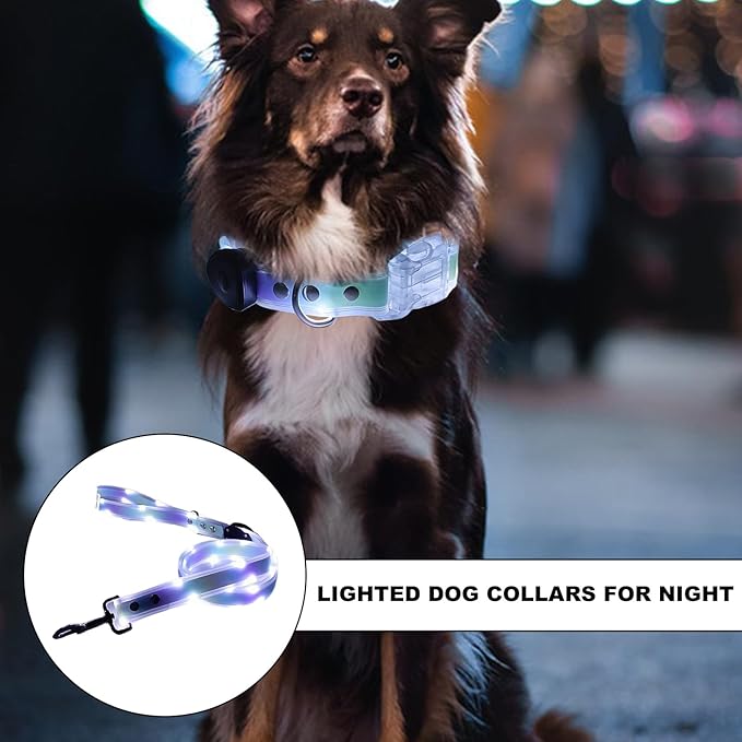 Light Up LED Dog Collar - Rechargeable Pet Necklace Accessory, Adjustable Luminous Collar,PVC Rubber Coated LED Dog Collarr Specification | Lighted Outdoor Protectionfor Small,Medium and Large Breeds