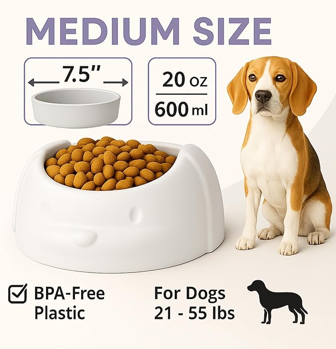 Dishes for Medium and Small Pets – No Spill Dog Food and Water Bowl – Non-Slip Dog Maze Food Bowl, Dishwasher Safe, Odor-Resistant, Lightweight Puppy Feeding Station. (White, Large)