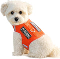 Dog Harness for Puppy – Adjustable Reflective Easy Put On Soft Mesh Vest for Small Dogs with 2 Patches (Orange,XXS)
