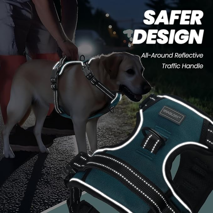 VIVAGLORY Dog Harness Easewalk No Pull Dog Harness with Handle Front Clip & Back Clip for Training Walking Lifting, No Pull Adjustable Easy On Padded Comfortable for Pet, M, Hunter Teal - Plain