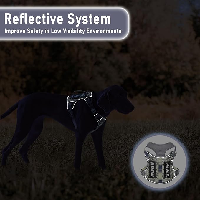 Heavy Duty No Pull Tactical Dog Harness for Large Dogs, Labrador Golden Retriever German Shepherd, Adjustable Soft Padded Dog Vest, Breathable Pet Oxford Vest with Easy Control Handle, Gray L