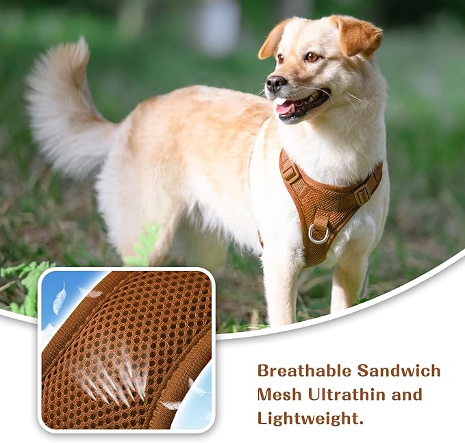 No Pull Dog Harness for Small Medium Large Dogs - Adjustable 2 Layer Mesh Dog Vest with Dual Clip, Escape Proof, Quick Release, Lightweight Breathable Mesh for Walking Hiking (Carmel Brown,XS)