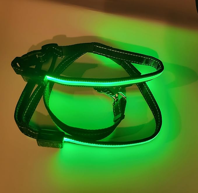 LED Dog Collar and Leash Light USB Rechargeable Color Changing, Glow in The Dark Dog Collars and Leash Waterproof (Green, Collar Small + Leash)
