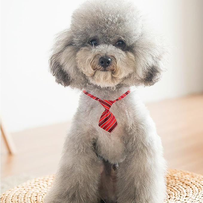 Segarty Small Dog Ties, 40 Pack Adjustable Pet Bow Ties Assorted Pattern for Small Dogs Cats Bowties Puppy Neckties Grooming Bows Festival Photography Holiday Party Valentine Costumes Birthday Gift