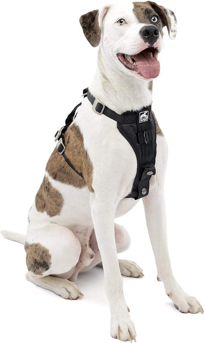 Kurgo Enhanced Strength Tru-Fit Dog Car Harness - Pet Travel Safety Harness - Crash Test Certified Fit - Five Point Adjustment - Secure Buckle - Padded Chest - Black - Medium