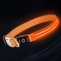 LED Dog Collar with Metal Buckle - USB Rechargeable Glow Collar for Dogs, Waterproof Light Up Dog Collar w/Reflective Strips - Adjustable Night Safety Collars by PetIsay(Orange,Medium)