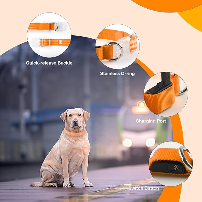 LED Dog Collar, Light Up Dog Collar, Lighted Dog Collars Adjustable for Night Walking, Glow in The Dark Dog Collars Light with USB Rechargeable Color Changing Waterproof for Dogs (Orange, Medium)
