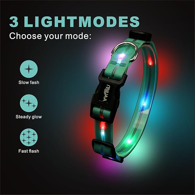 Light up Dog Collars,Led Dog Collar Rechargeable,Glow in Dark Dog Lights for Walking at Night for Small Medium, Large Dogs (Blue)
