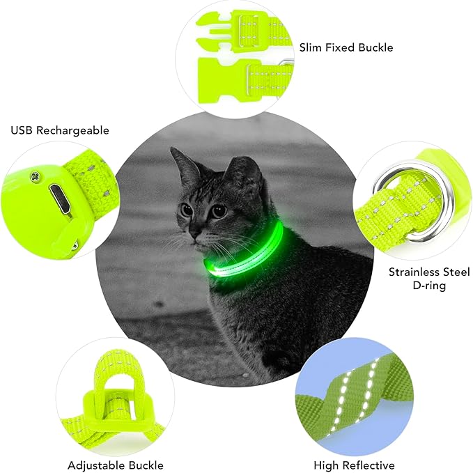 Light up Dog Collar for Small Dog,Vizpet XS Adjustable Size Nylon Collar USB Rechargeable Bright Safety Pet Collar for Cats Dogs (Green)