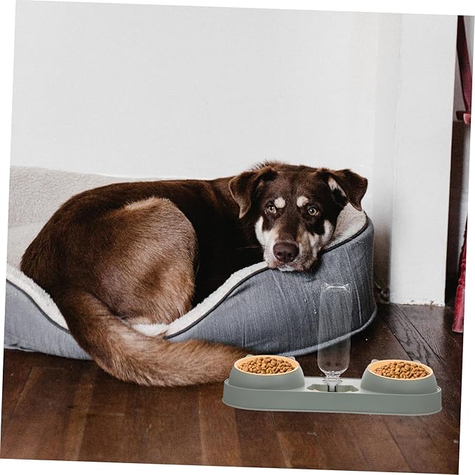 Totority Dog Food Dispenser Automatic Feeder Pet Feeding Bowl Shatter-Resistant Easy to Use Random Style
