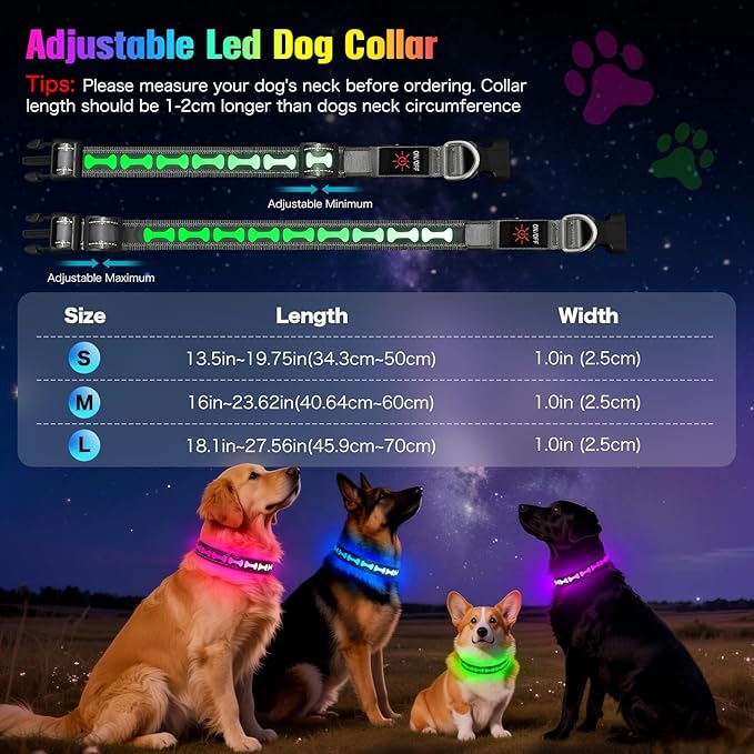 Flashseen LED Dog Collar Light Up USB-C Rechargeable, RGB 7 Colors 3 Modes Glow in The Dark Collar, Adjustable 360° Visibility Glowing Collars for Night Walking for Dogs (Grey, Large)